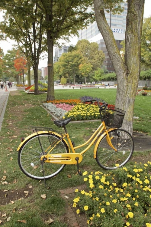 Picture of JAPAN BICYCLE - 2