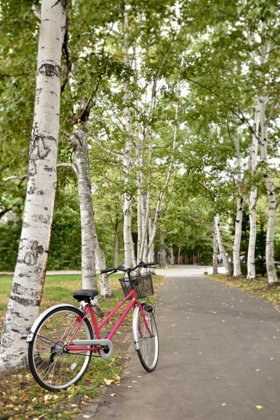 Picture of JAPAN BICYCLE - 20