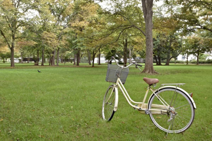 Picture of JAPAN BICYCLE - 21