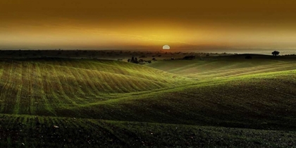 Picture of ALENTEJO SUNSET