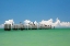 Picture of GULL CONFERENCE