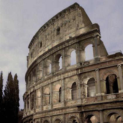 Picture of COLISEUM ROME - 2