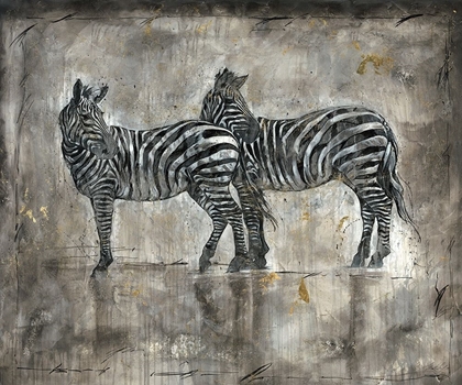 Picture of ZEBRAS