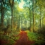 Picture of SUNDAY MORNING WALK