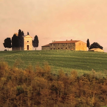 Picture of EVENING LIGHT TUSCANY