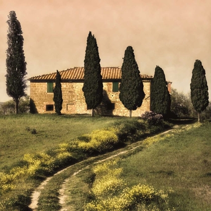Picture of TUSCAN FARMHOUSE