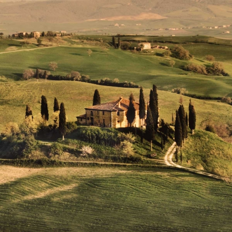 Picture of TUSCAN VILLA