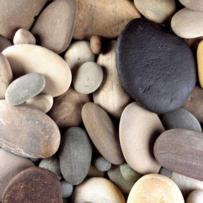 Picture of BROWN PEBBLES