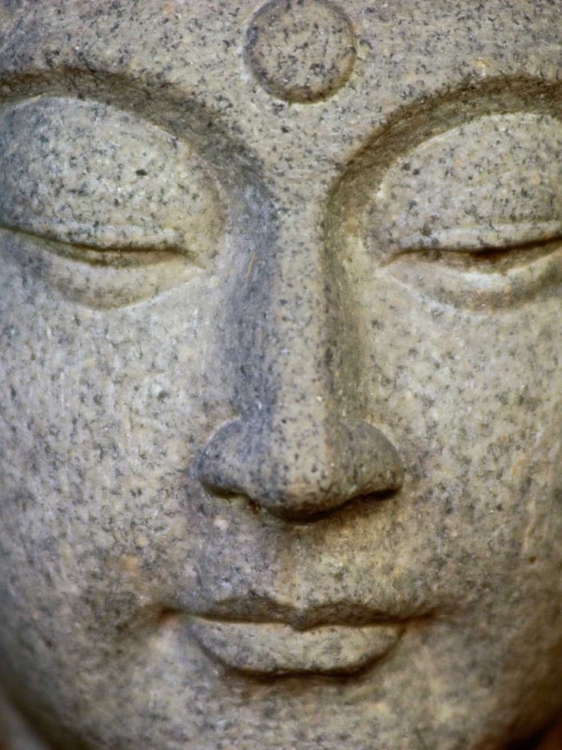 Picture of BUDDHA
