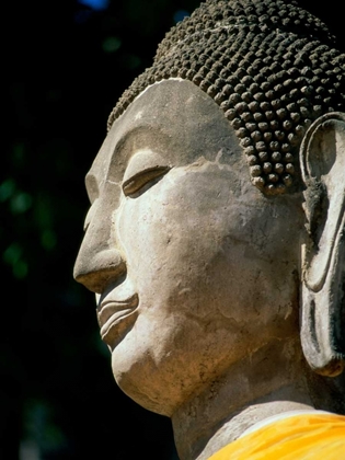 Picture of BUDDHA