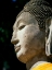 Picture of BUDDHA