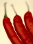Picture of CHILI
