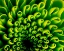 Picture of GREEN DESIGN