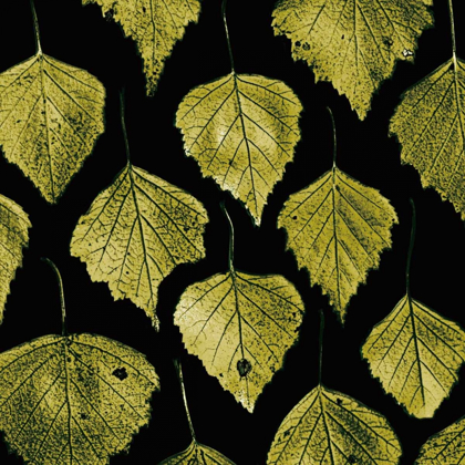 Picture of GREEN LEAVES