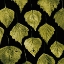 Picture of GREEN LEAVES