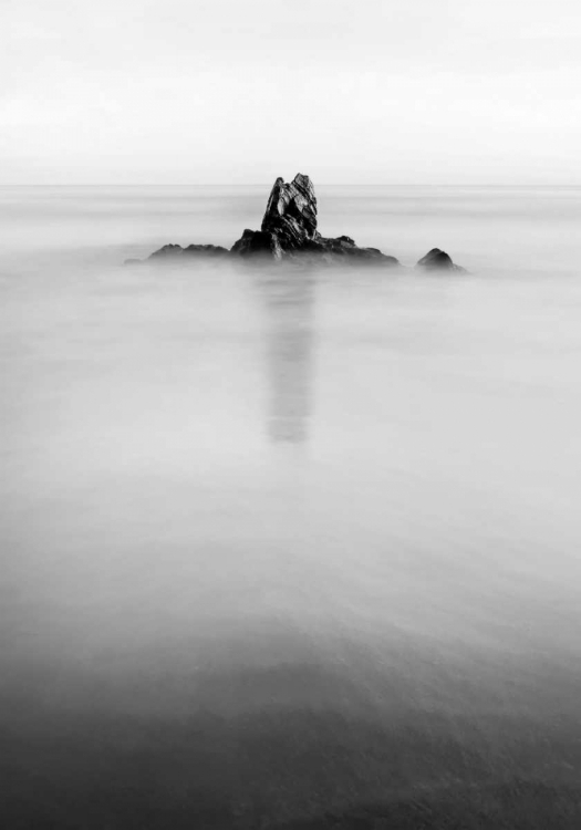 Picture of IN THE MIST