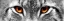 Picture of LYNX