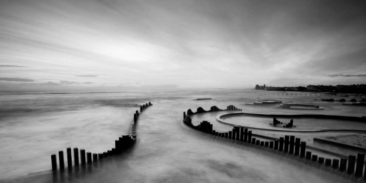 Picture of MIST