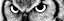 Picture of OWL