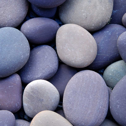 Picture of PURPLE PEBBLES