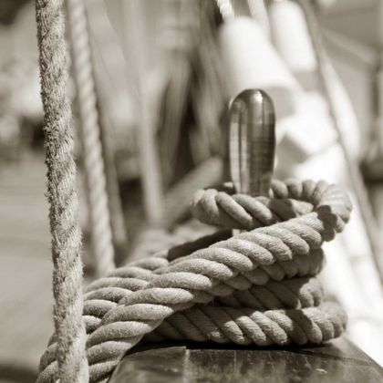 Picture of SAIL ROPE
