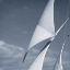 Picture of SAILS