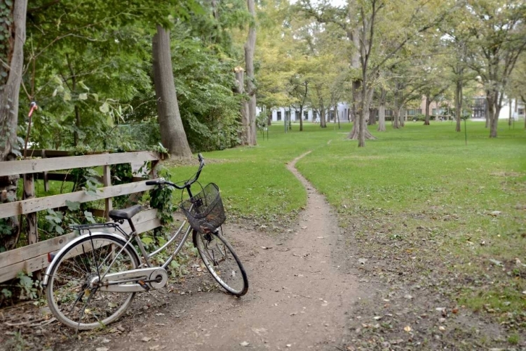 Picture of JAPAN BICYCLE - 23