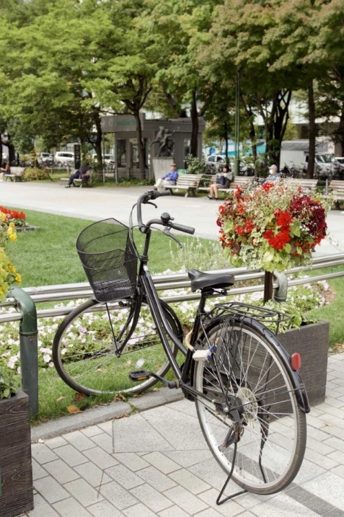 Picture of JAPAN BICYCLE - 5