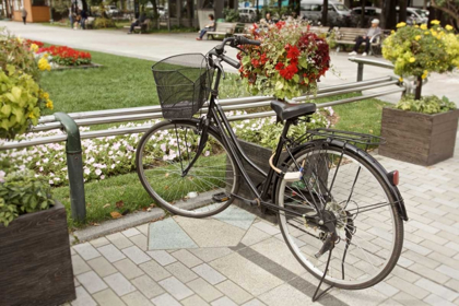 Picture of JAPAN BICYCLE - 6