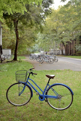 Picture of JAPAN BICYCLE - 8