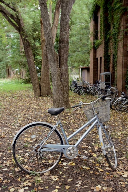 Picture of JAPAN BICYCLE - 9