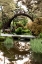 Picture of JAPANESE BRIDGE - 2
