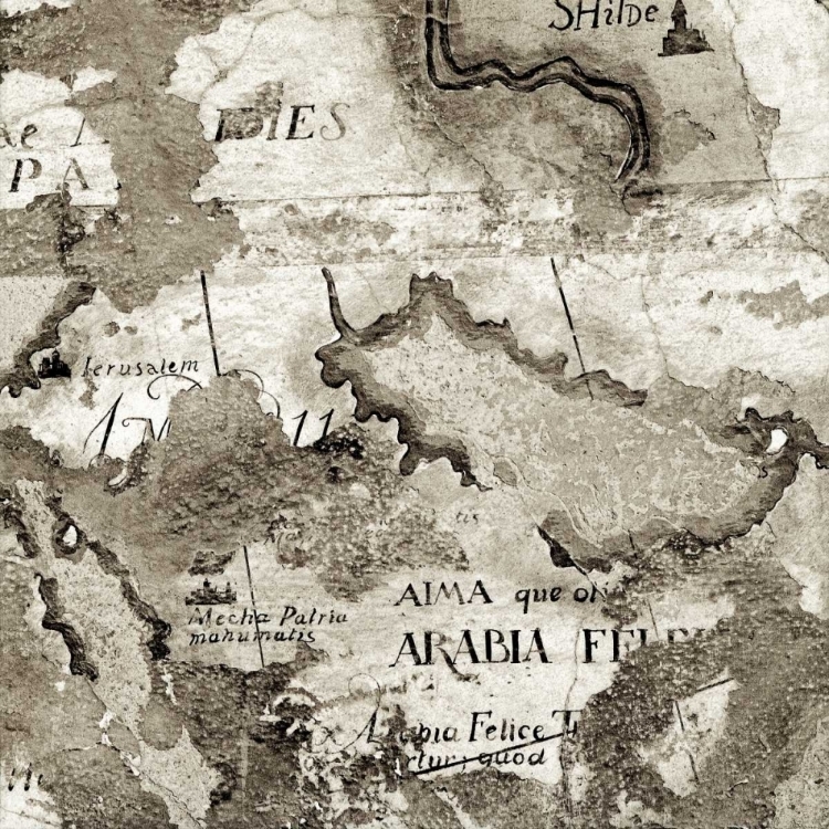 Picture of LA MAPPA - 2