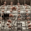 Picture of LANTERNS - 1