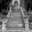 Picture of LIGURIA - 3