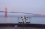 Picture of DREAM CAFE GOLDEN GATE BRIDGE - 53