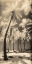Picture of PALM SHADOWS I