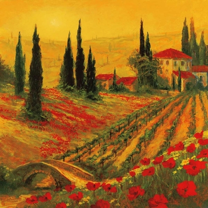 Picture of POPPIES OF TOSCANO I