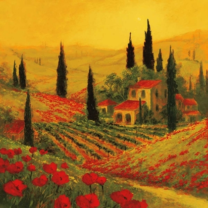 Picture of POPPIES OF TOSCANO II