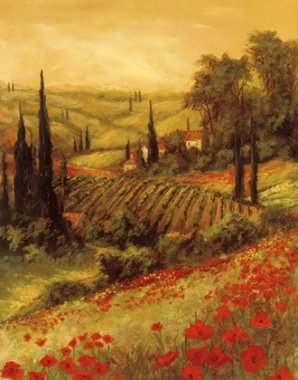 Picture of TOSCANO VALLEY II