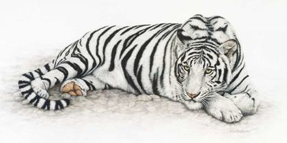 Picture of SIBERIAN TIGER
