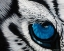 Picture of TIGER EYE