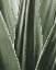 Picture of LEAF I