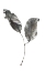 Picture of SILVER LEAF