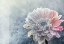 Picture of WINTER FLOWER