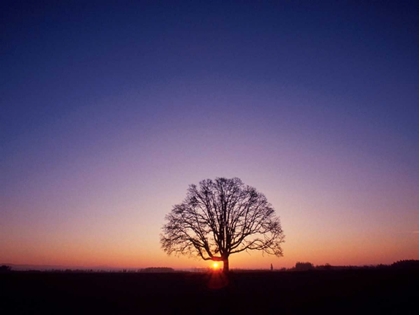Picture of SUNDOWN