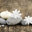 Picture of ZEN PEBBLES