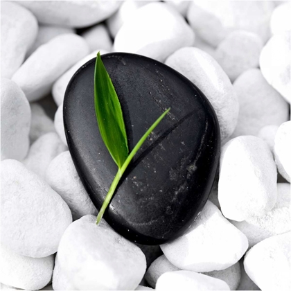 Picture of ZEN STONE