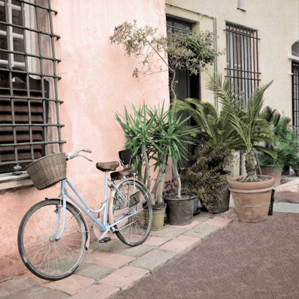 Picture of LIGURIA BICYCLE - 2