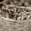 Picture of MARKETPLACE - 27